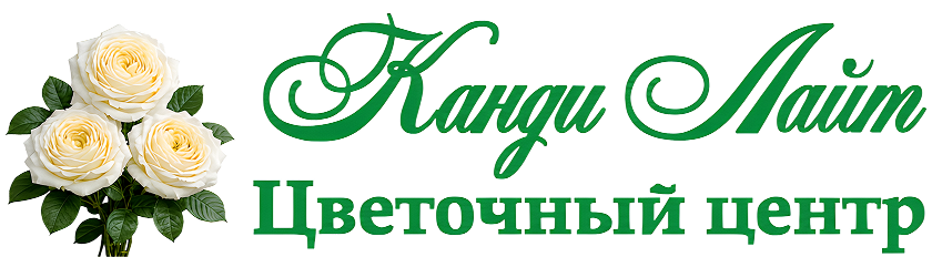 Канди Лайт
